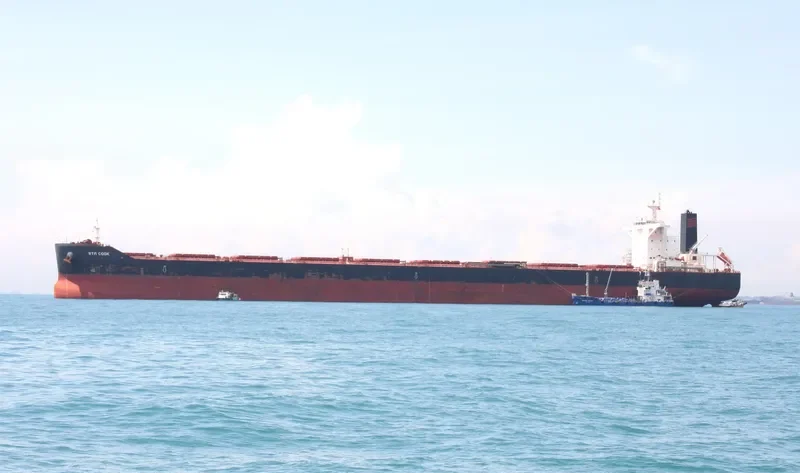 RTM COOK Bulk Carrier IMO 9591301 photo 2