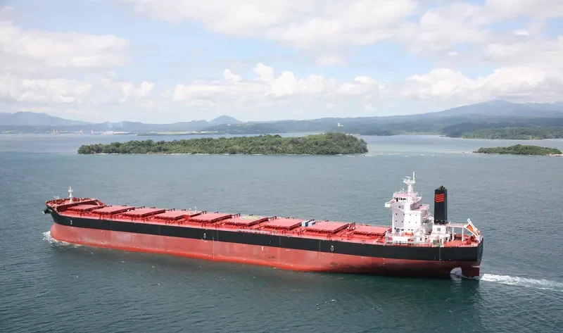 RTM COOK Bulk Carrier IMO 9591301 photo 6