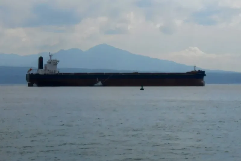 RTM ZHENG HE Bulk Carrier IMO 9591337 photo 4