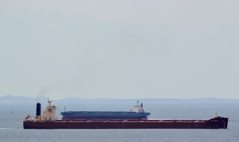 RTM DRAKE Bulk Carrier IMO 9591351
