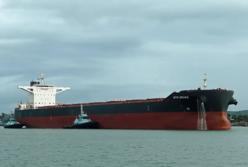 RTM DRAKE Bulk Carrier IMO 9591351 photo 5