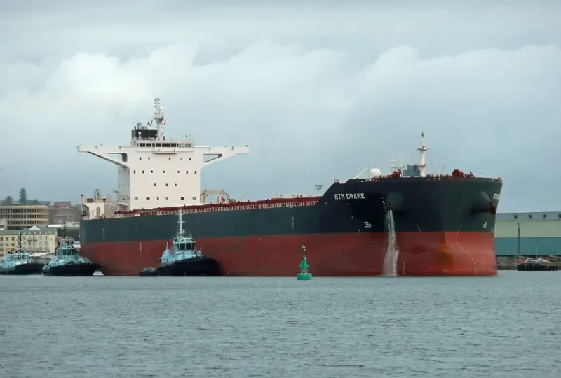 RTM DRAKE Bulk Carrier IMO 9591351 photo 6