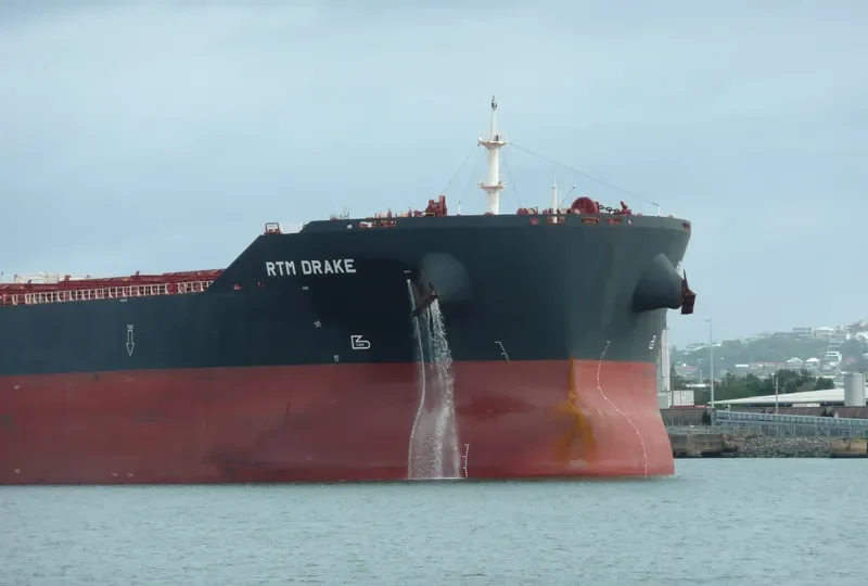 RTM DRAKE Bulk Carrier IMO 9591351 photo 7