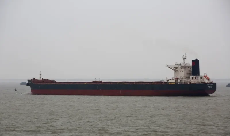 RTM TASMAN Bulk Carrier IMO 9591375