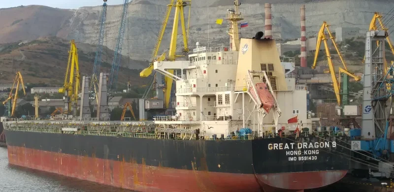 WEI LUN JU LONG Bulk Carrier IMO 9591430