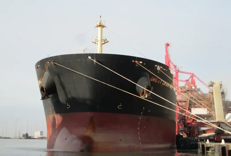 WEI LUN JU LONG Bulk Carrier IMO 9591430 photo 6