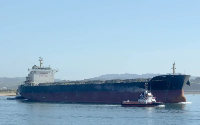WEI LUN JU LONG Bulk Carrier IMO 9591430 photo 9
