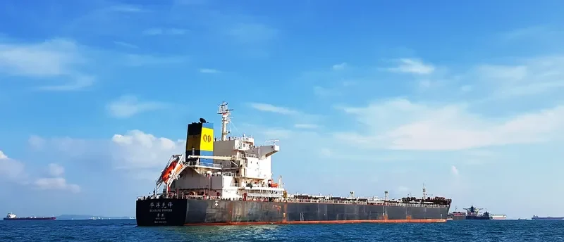 HUAYANG PIONEER Bulk Carrier IMO 9591478 photo 8