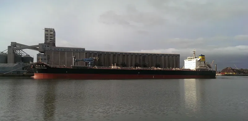 HUAYANG PIONEER Bulk Carrier IMO 9591478 photo 10