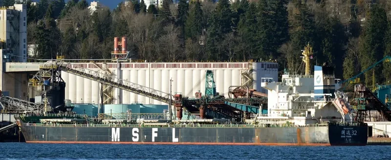 GUO YUAN 32 Bulk Carrier IMO 9591480 photo 2