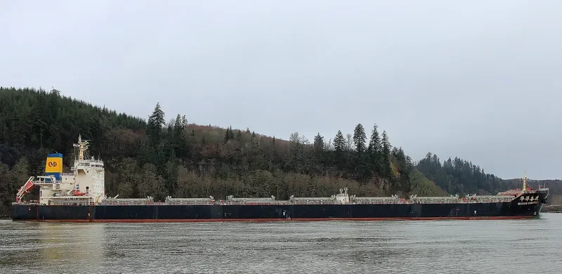 HUAYANG ENDEAVOUR Bulk Carrier IMO 9591492 photo 6