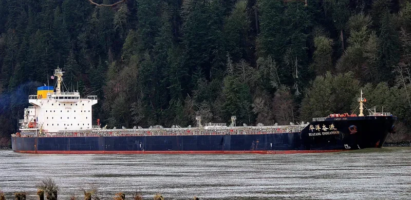 HUAYANG ENDEAVOUR Bulk Carrier IMO 9591492 photo 7