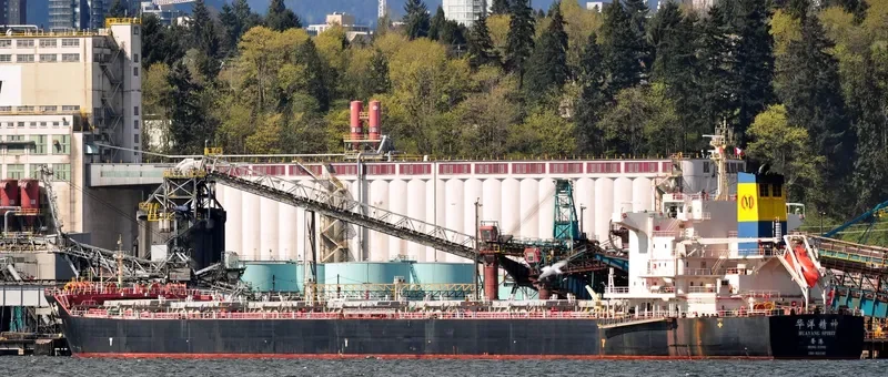 HUAYANG SPIRIT Bulk Carrier IMO 9591507 photo 4