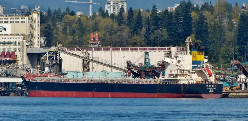 HUAYANG SPIRIT Bulk Carrier IMO 9591507 photo 8