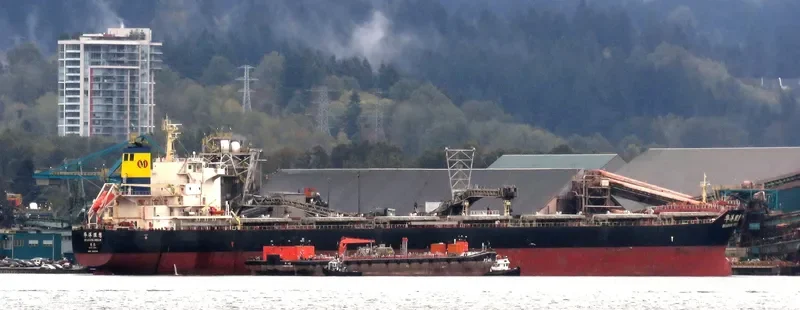 HUAYANG DREAM Bulk Carrier IMO 9591519 photo 2