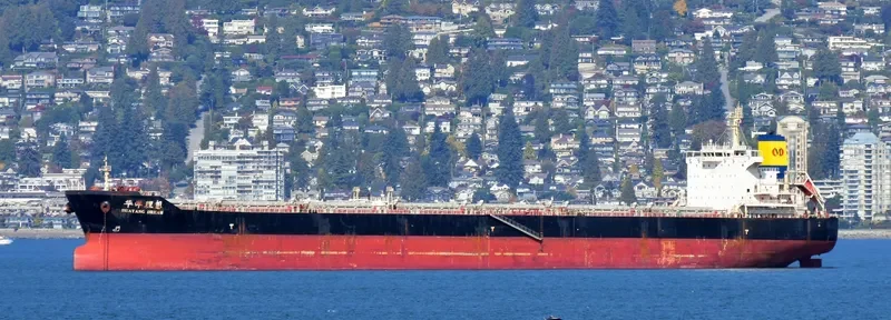 HUAYANG DREAM Bulk Carrier IMO 9591519 photo 4