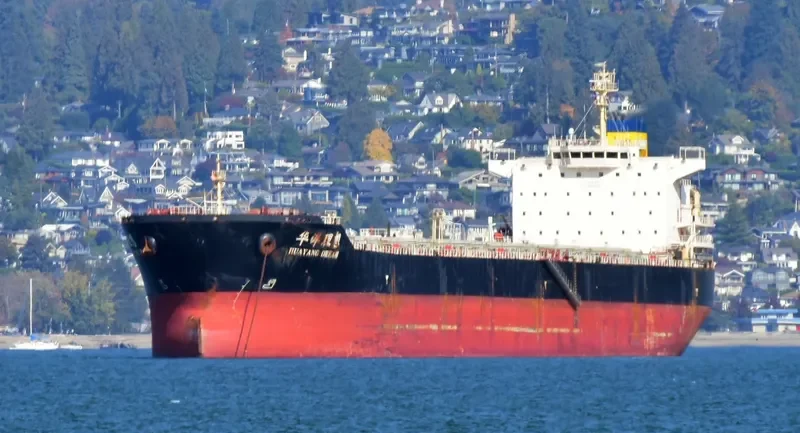 HUAYANG DREAM Bulk Carrier IMO 9591519 photo 5