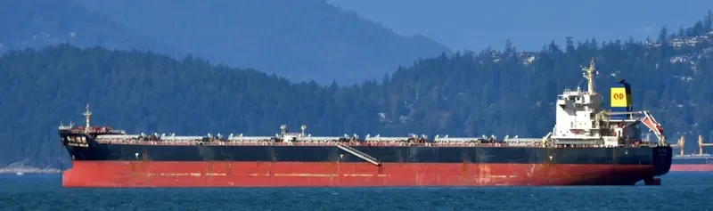 HUAYANG DREAM Bulk Carrier IMO 9591519 photo 6