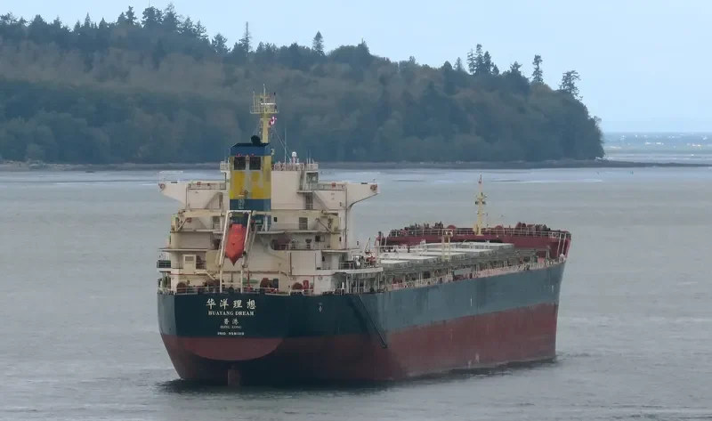 HUAYANG DREAM Bulk Carrier IMO 9591519 photo 8