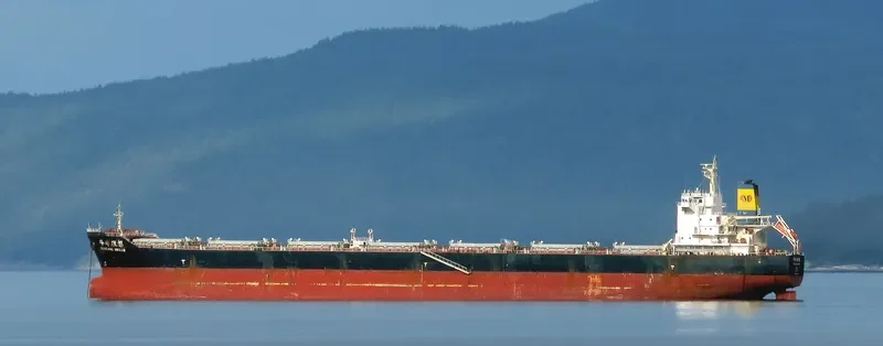 HUAYANG DREAM Bulk Carrier IMO 9591519 photo 9