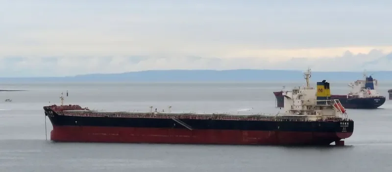 HUAYANG DREAM Bulk Carrier IMO 9591519 photo 10