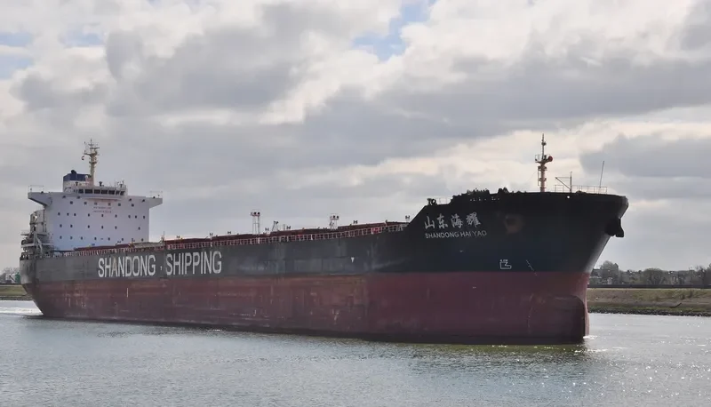 SHANDONG HAI YAO Bulk Carrier IMO 9591533 photo 8