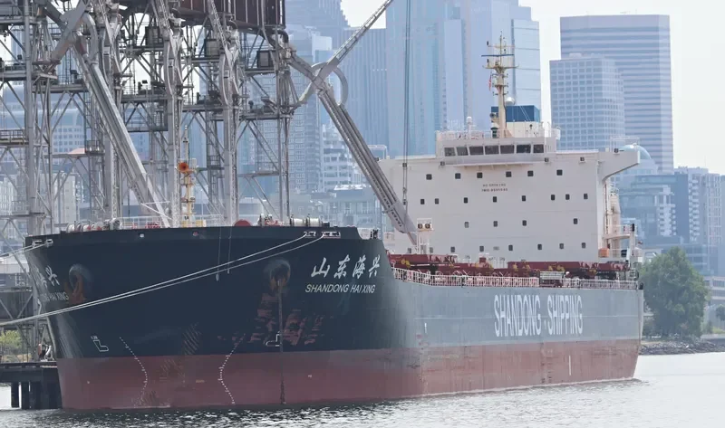 SHANDONG HAI XING Bulk Carrier IMO 9591545 photo 2