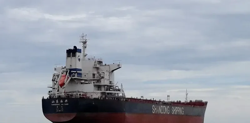 SHANDONG HAI XING Bulk Carrier IMO 9591545 photo 5