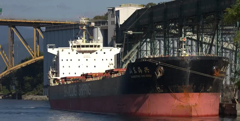 SHANDONG HAI XING Bulk Carrier IMO 9591545 photo 8