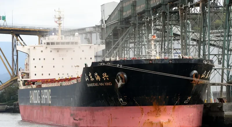 SHANDONG HAI XING Bulk Carrier IMO 9591545 photo 9