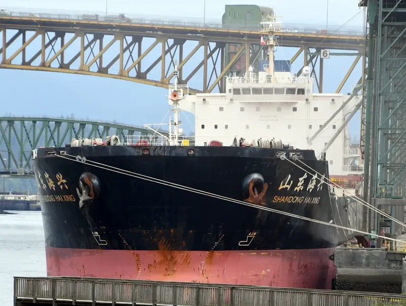 SHANDONG HAI XING Bulk Carrier IMO 9591545 photo 10