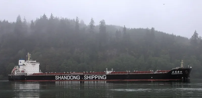 SHANDONG HAI WANG Bulk Carrier IMO 9591557 photo 3