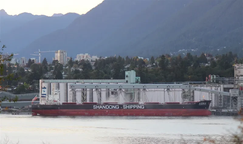 SHANDONG HAI WANG Bulk Carrier IMO 9591557 photo 6