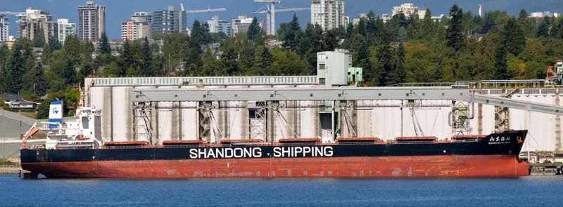 SHANDONG HAI WANG Bulk Carrier IMO 9591557 photo 8
