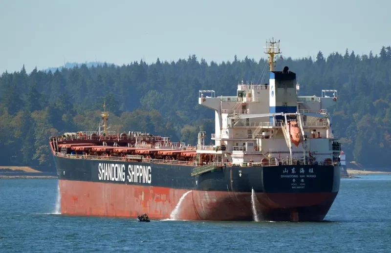 SHANDONG HAI WANG Bulk Carrier IMO 9591557 photo 10