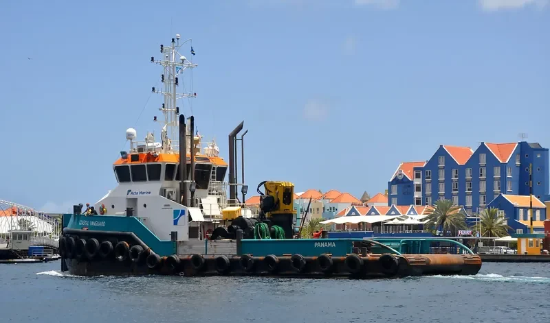 COASTAL VANGUARD General Cargo IMO 9591569 photo 2