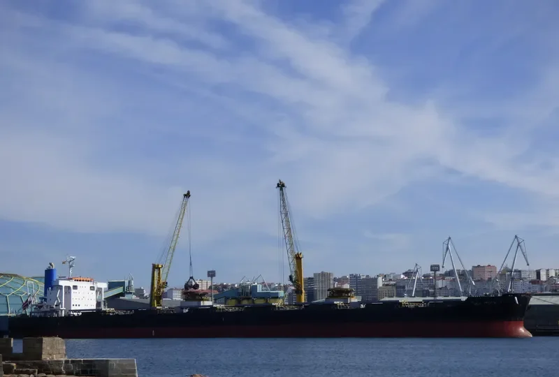 CEDRIC OLDENDORFF Bulk Carrier IMO 9591571 photo 3