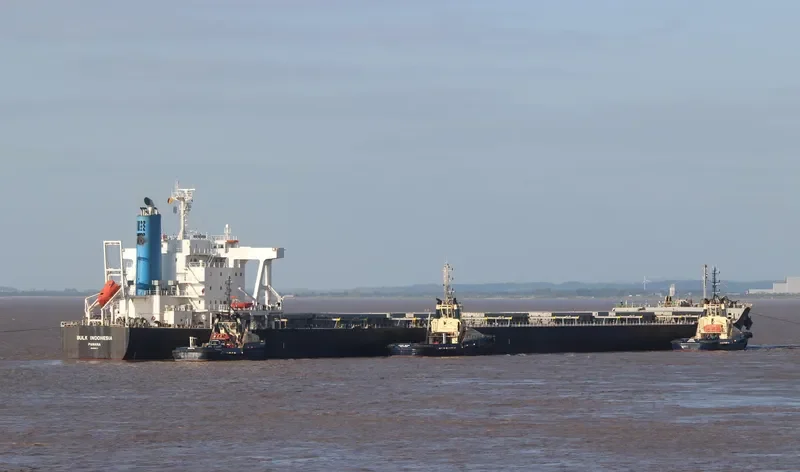 CEDRIC OLDENDORFF Bulk Carrier IMO 9591571 photo 5