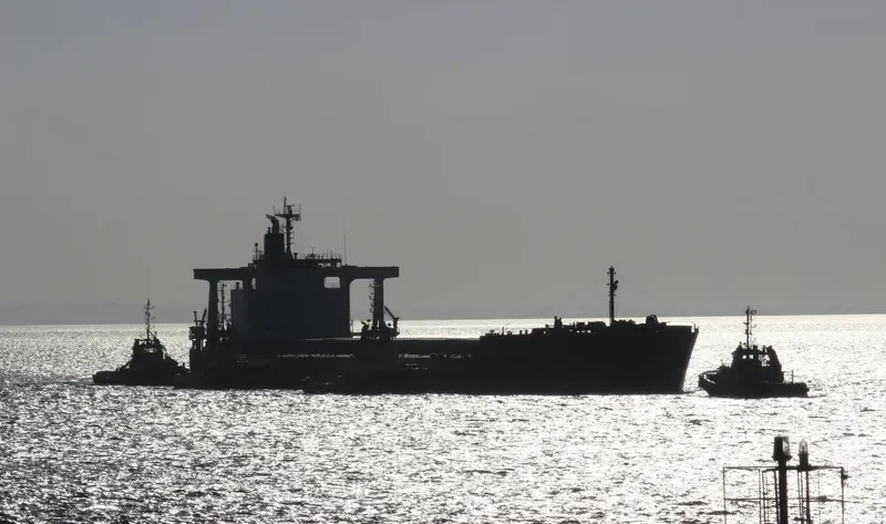 CEDRIC OLDENDORFF Bulk Carrier IMO 9591571 photo 7