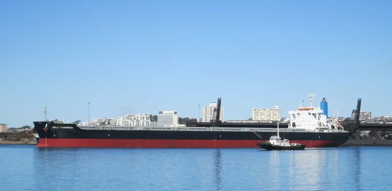 CEDRIC OLDENDORFF Bulk Carrier IMO 9591571 photo 9