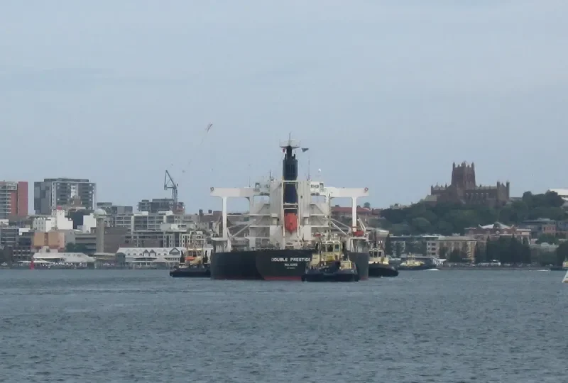 DOUBLE PRESTIGE Bulk Carrier IMO 9591583