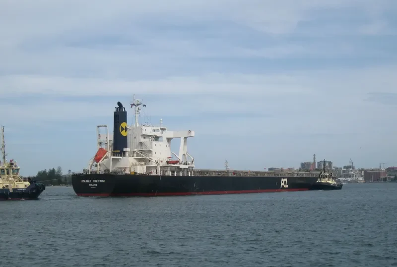 DOUBLE PRESTIGE Bulk Carrier IMO 9591583 photo 2
