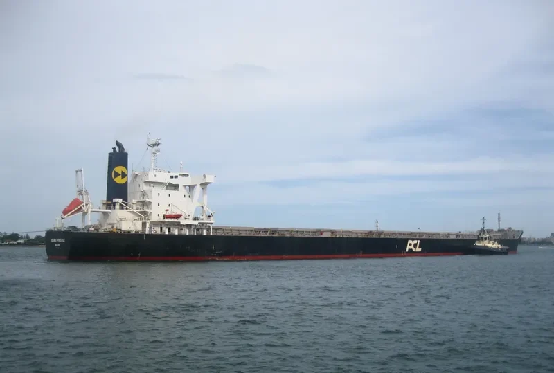 DOUBLE PRESTIGE Bulk Carrier IMO 9591583 photo 3
