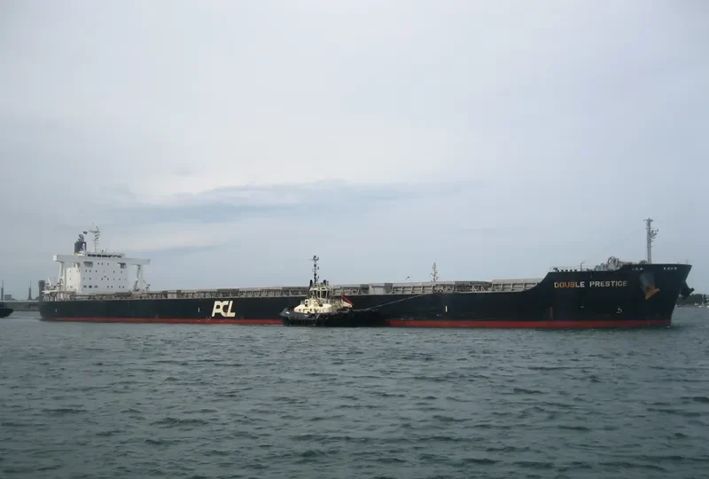DOUBLE PRESTIGE Bulk Carrier IMO 9591583 photo 4