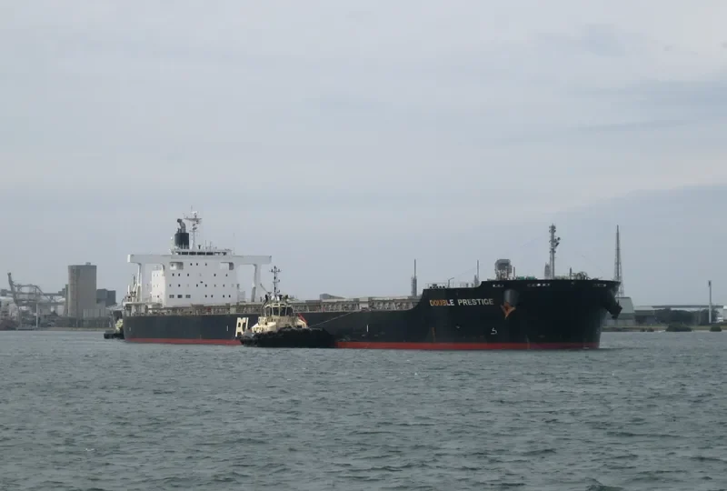 DOUBLE PRESTIGE Bulk Carrier IMO 9591583 photo 5