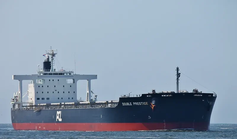 DOUBLE PRESTIGE Bulk Carrier IMO 9591583 photo 6