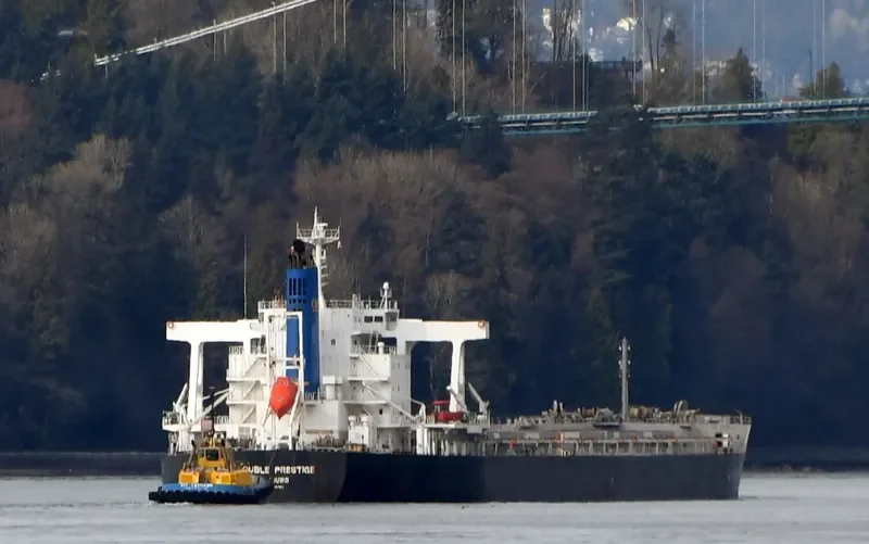 DOUBLE PRESTIGE Bulk Carrier IMO 9591583 photo 10