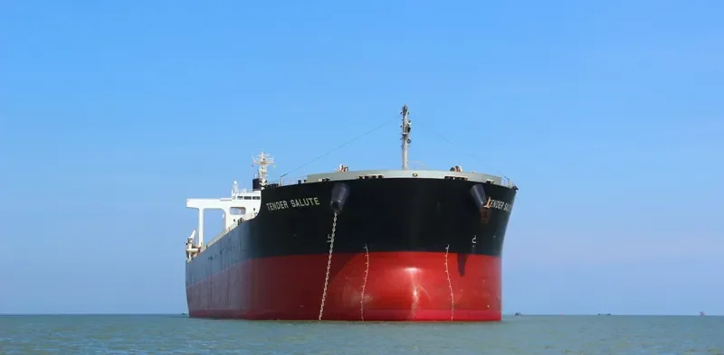 LOWLANDS GREEN Bulk Carrier IMO 9591595 photo 2