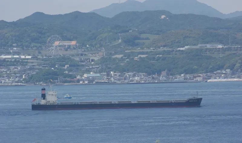 LOWLANDS GREEN Bulk Carrier IMO 9591595 photo 3