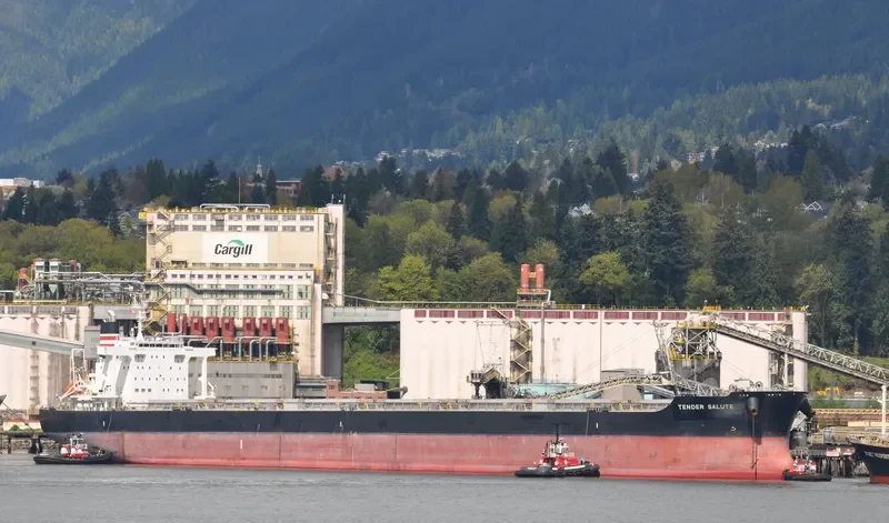 LOWLANDS GREEN Bulk Carrier IMO 9591595 photo 4